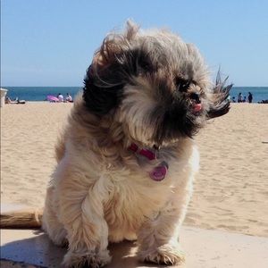 Meet your Posher, Dawnelle